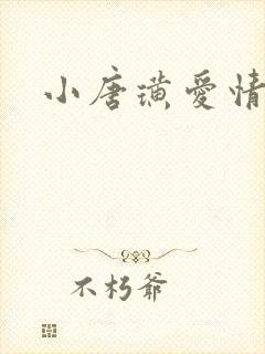 小唐璜爱情历史