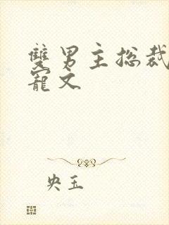 双男主总裁文甜宠文