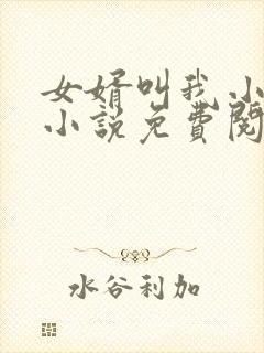 女婿叫我小老婆小说免费阅读无弹窗