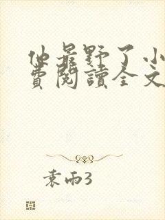 他最野了小说免费阅读全文