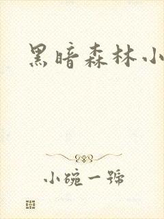 黑暗森林小说封面