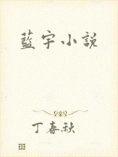 蓝宇小说