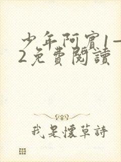 少年阿宾1—72免费阅读