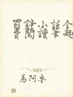 罗铮小说全文免费阅读笔趣阁封面