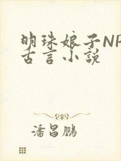 明珠娘子NPC古言小说