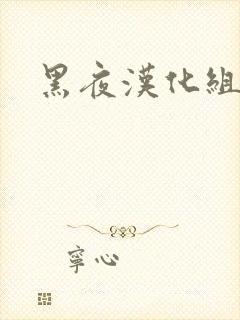 黑夜汉化组封面