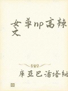 女尊np高辣h文封面