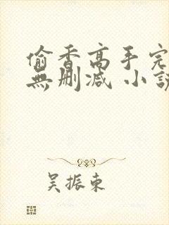 偷香高手完整版无删减 小说