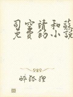 司空靖和苏月汐免费的小说笔趣阁