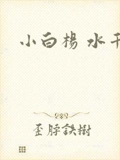 小白杨 水千丞