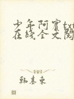 少年阿宾txt在线全文阅读