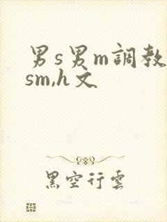 男s男m调教(sm,h文
