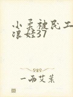 小柔被民工玩成浪娃37封面