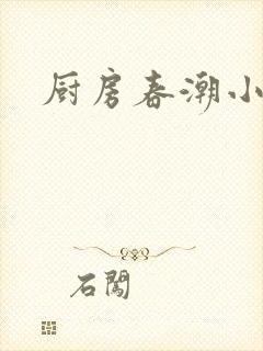 厨房春潮小说