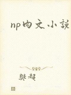 np肉文小说