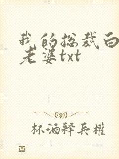 我的总裁白富美老婆txt封面