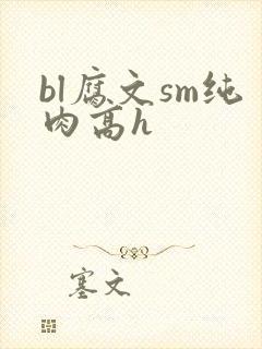 bl腐文sm纯肉高h