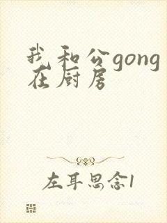 我和公gong在厨房