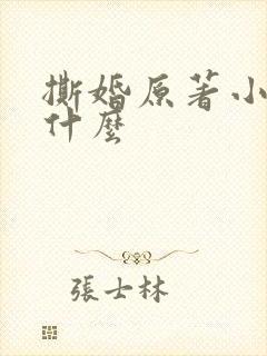 撕婚原著小说叫什么