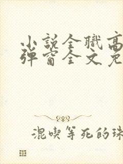 小说全职高手无弹窗全文免费阅读