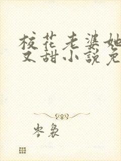 校花老婆她又软又甜小说免费阅读封面
