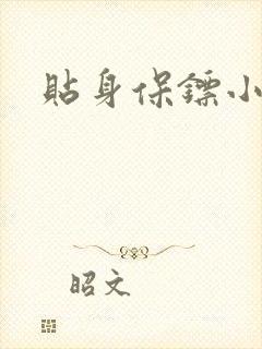 贴身保镖小说