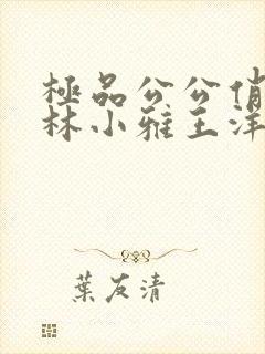 极品公公俏儿媳林小雅王洋免费阅读