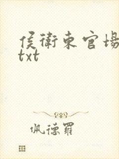 侯卫东官场笔记txt