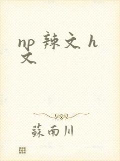 np 辣文 h文