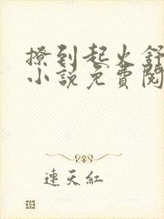 撩到起火舒漾的小说免费阅读全文