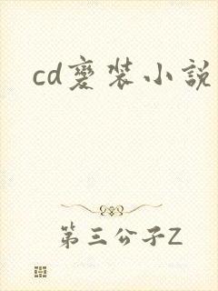 cd变装小说