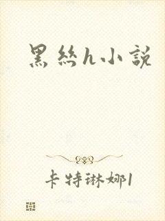 黑丝h小说