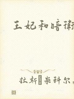 王妃和暗卫野H封面