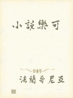 小说乐可