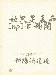 她只是表面清纯[np]笔趣阁