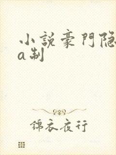 小说豪门隐婚aa制封面