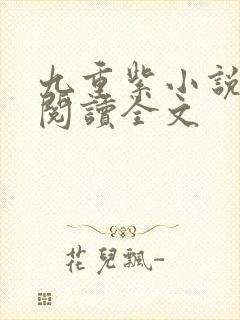 九重紫小说免费阅读全文封面