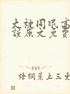 大被同眠高粱小说原文免费阅读