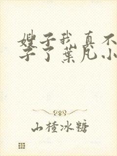 嫂子我真不是傻子了叶凡小说精校封面