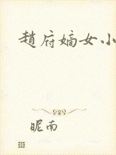 赵府嫡女小说封面