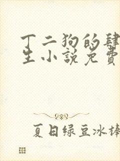 丁二狗的肆意人生小说免费1