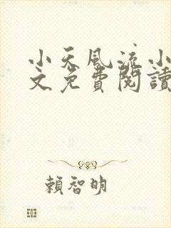 小天风流小说全文免费阅读无弹窗下封面
