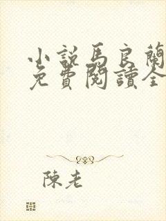 小说马良兰香姐免费阅读全文