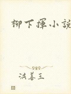 柳下挥小说封面