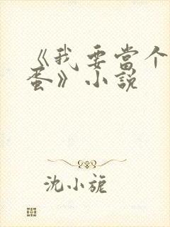 《我要当个大坏蛋》小说