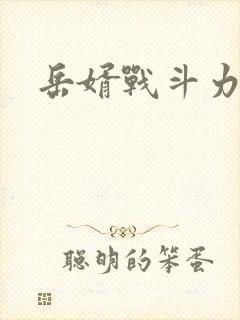 岳婿战斗力