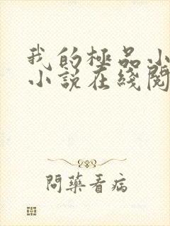 我的极品小姨 小说在线阅读封面
