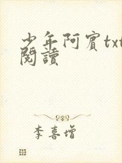 少年阿宾txt阅读