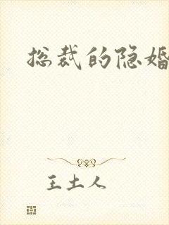 总裁的隐婚新娘封面