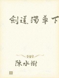 剑道独尊下载